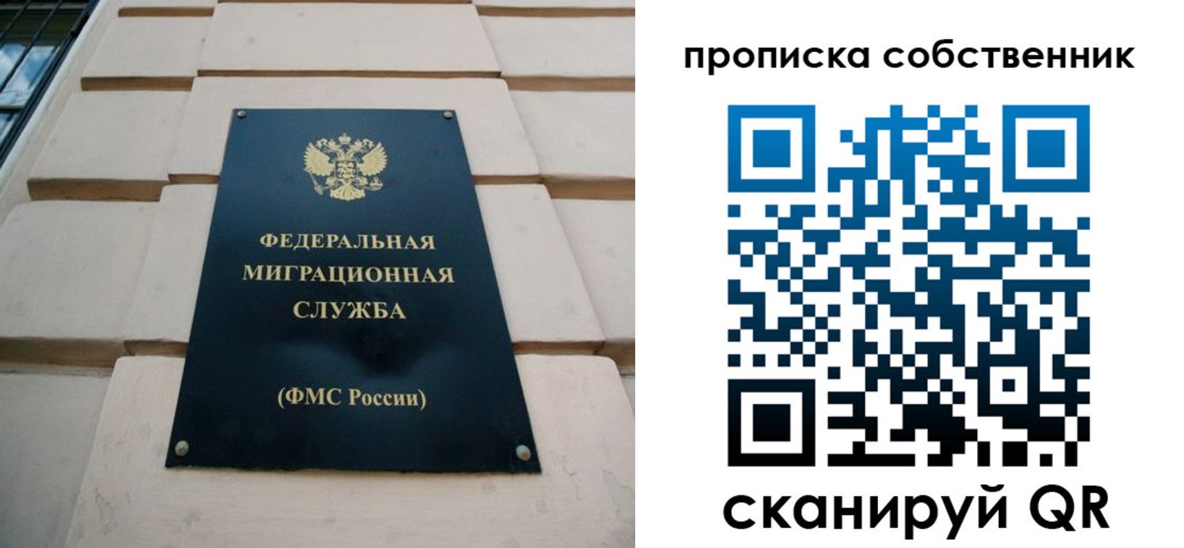 прописка законно в Кудрово
